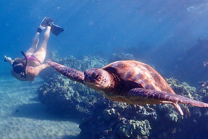Guided Turtle Town Snorkeling Tour with Underwater Photos - The Snorkeling Itinerary: What Makes It Special