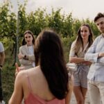 Guided Visit and Wine Tasting at the Winery in Veneto - The Itinerary in Detail
