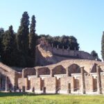 Guided Visit of Pompei and Mount Vesuvius Tour with Pizza Lunch - The Food and Logistics