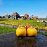 Guided visit of Zaanse Schans - Who Will Enjoy This Tour?