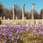 Guided visit to ancient Olympia with an Italian-Greek archaeologist tour guide - Who will love this experience?