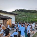 Guided Walk and Lunch in the Vineyard in Alba - The Experience from a Practical Perspective