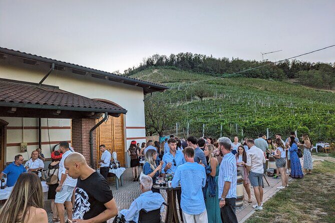 Guided Walk and Lunch in the Vineyard in Alba - The Experience from a Practical Perspective