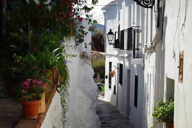 Guided Walking Tour of the Old Town of Frigiliana - What Do Travelers Say?