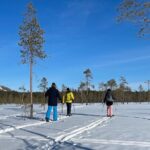 Guided Wilderness Skiing Tour In Pyhätunturi - Why This Tour Works Well