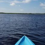 Guided Wildlife Eco Kayak Tour in New Smyrna Beach - Price and Value