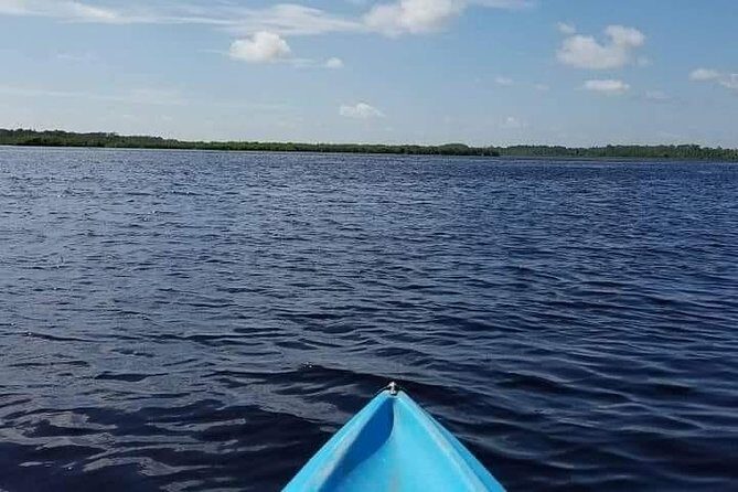 Guided Wildlife Eco Kayak Tour in New Smyrna Beach - Price and Value