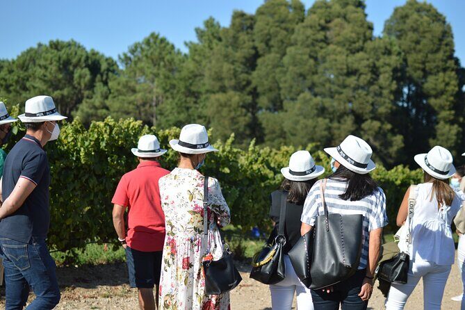 Guided Winery tour and Wine tasting in Pontevedra - Who Will Love This Tour?
