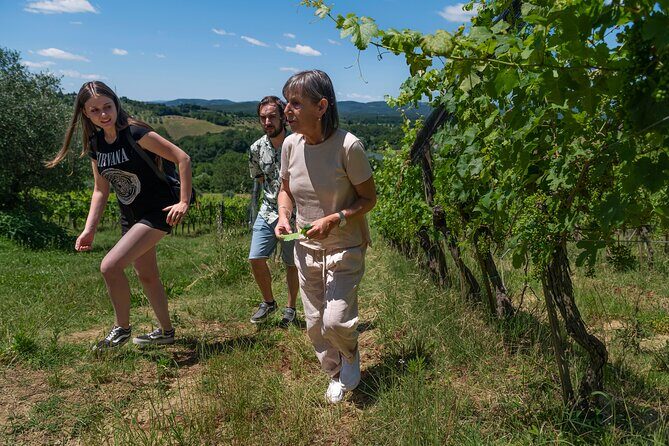 Guided Winery Tour and Wine Tasting in Siena - Price & Value