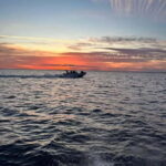 Gulf of Morbihan cruise with/without stopover on Île-aux-Moines - What Travelers Say