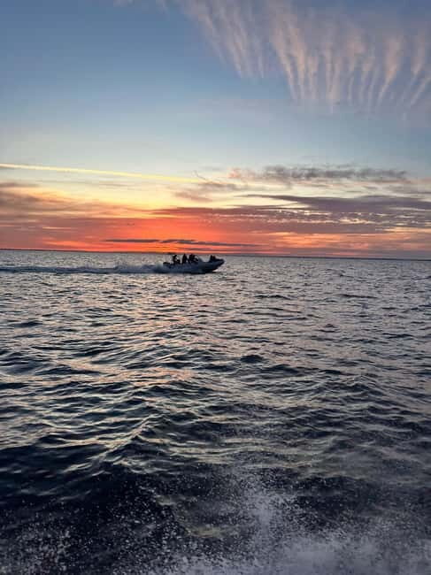 Gulf of Morbihan cruise with/without stopover on Île-aux-Moines - What Travelers Say