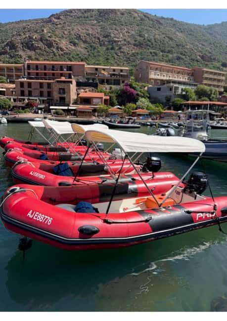 Gulf of Porto: Boat rental without a license - The Pros and Cons