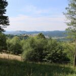 Gura Humorului:Day trip with multiple activities - What to Expect and Practical Tips