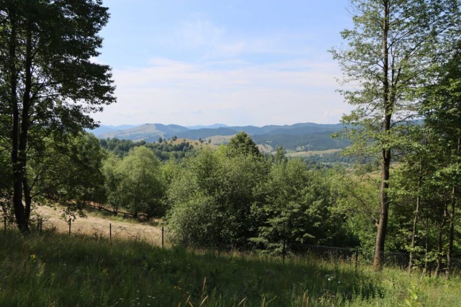 Gura Humorului:Day trip with multiple activities - What to Expect and Practical Tips