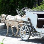 Gyumri: Private City Tour - What Do Travelers Say?