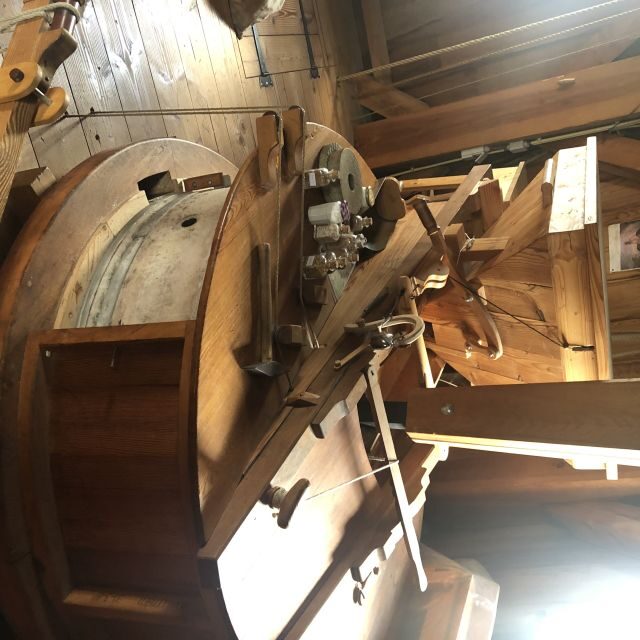 Haarlem: Windmill 'De Adriaan' Guided Tour - The Tour Guide: Knowledge and Engagement