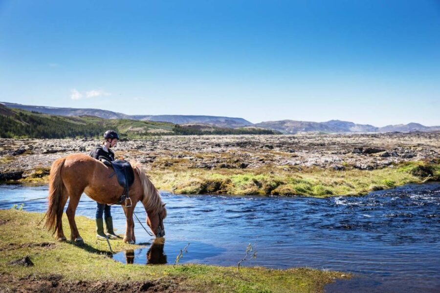 Hafnarfjörður: Horseback Riding Tour in Reykjavik Area - The Itinerary in Detail
