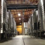 Haft-day Winery tour from Zaragoza - Who Should Consider This Tour?