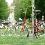 Haidhausen: Insider Tour! Secrets in Munich's French Quarter - The Walking Tour Experience: What to Expect