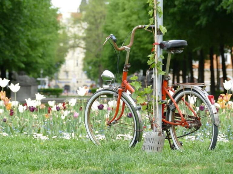 Haidhausen: Insider Tour! Secrets in Munich's French Quarter - The Walking Tour Experience: What to Expect