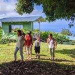 Hala Tree Coffee Farm Tour - The Itinerary: A Closer Look