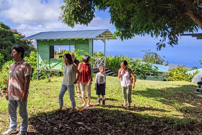 Hala Tree Coffee Farm Tour - The Itinerary: A Closer Look