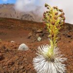 Haleakala Sunrise Best Guided Bike Tour with Bike Maui - The Ride Down: Maui’s Most Famous Switchbacks