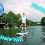 Haleiwa River Paddle Board Rental with Blue Planet Adventure Co. - Who Is This Best For?