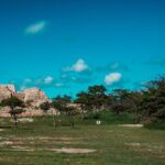 Half-Day Archeological Private Tour in San Miguel De Allende - What to Expect at Cañada de la Virgen