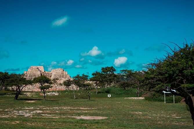 Half-Day Archeological Private Tour in San Miguel De Allende - What to Expect at Cañada de la Virgen