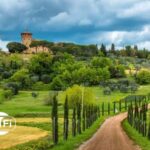 Half Day Escape to Chianti: Taste the Heart of Tuscany - Key Points