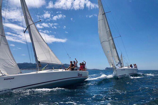 Half-day excursion in the Calanques of Frioul - The Value of the Tour: Is It Worth the Price?