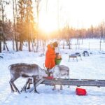 Half-Day Experience in Local reindeer farm in Lapland - The Photos: Capturing Your Lapland Memories