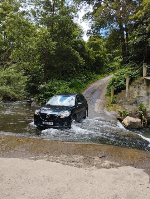 Half Day Fire Lake, Pineapple & Tea by SUV - What the Reviews Say