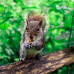 Half-day Forest Bathing and Yoga in Brighton's Woodlands - The Details: How the Day Unfolds