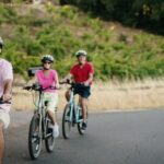 Half Day Guided Electric Bike Wine Tasting Tour with Lunch - What Sets This Tour Apart