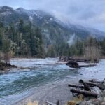Half Day Guided Tour of Olympic National Park - Detailed Itinerary Breakdown