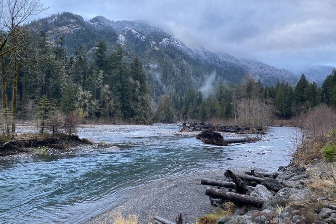 Half Day Guided Tour of Olympic National Park - Detailed Itinerary Breakdown