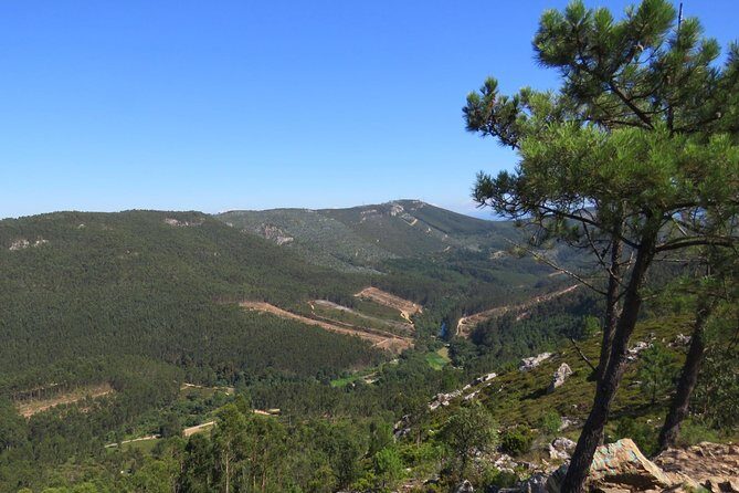 Half-day Hike & Picnic with Dog Love in Porto's Mountains - What to Expect During the Hike