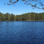 Half Day Hiking Tour in Beautiful Estonian Nature - Practical Details and What to Expect