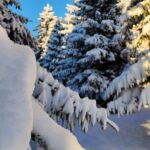 Half-Day Hiking with Private Mountain Guide in the Seven Rila Lakes - The Itinerary Breakdown