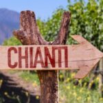 Half-day Hills Experience to San Gimignano with Pic Nic Wine - Transportation and Group Size