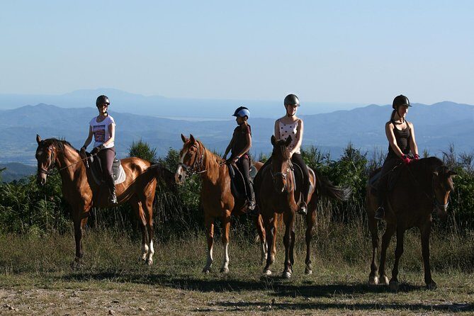 Half-Day Horseback Ride in Tuscany for beginner riders - Exploring Tuscany from the Saddle