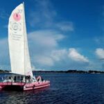 Half day in the Bay of Concarneau - Who is this experience best suited for?