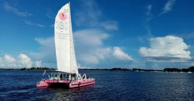 Half day in the Bay of Concarneau - Who is this experience best suited for?