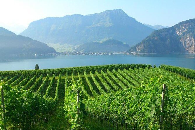 Half-Day Lake Lucerne Country Walk - FAQ: Your Quick Guide to the Lake Lucerne Country Walk