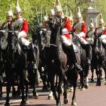 Half Day London Panoramic Private Tour - What Does the Price Get You?