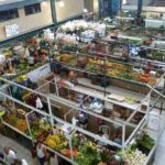 Half-day Manzanillo City Tours - What Travelers Say: Honest Reviews and Real Experiences