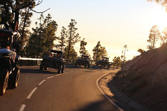 Half Day Morning Buggy Tour in Teide National Park - Analyzing the Value