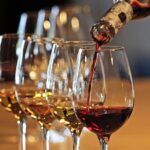 Half-Day North Georgia Wine Country Tour From Atlanta - Guided Experience and the Driver